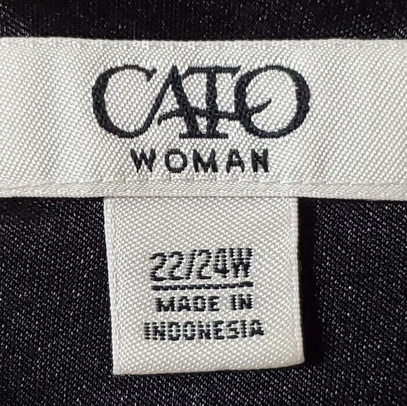 Dressy Blouse - Picture 4 of 9